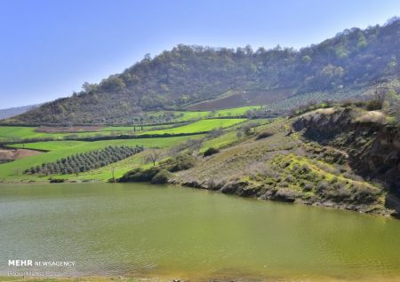 اخبار,انعکاس,فرش رنگین بهار در طبیعت گلستان اخبار,انعکاس,فرش رنگین بهار در طبیعت گلستان