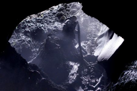 اخبار,اخبار گوناگون,عاج ماموتها در یاقوتستان اخبار,اخبار گوناگون,عاج ماموتها در یاقوتستان