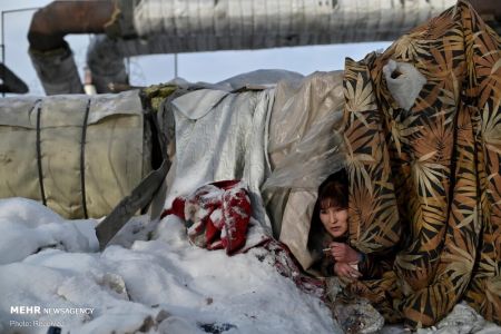 اخبار,عکس خبری,زندگی بی‌خانمان‌های سیبری در سرمای منفی ۳۰ درجه