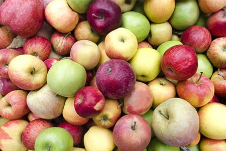 اخبار,اخبار گوناگون,واقعیتهایی جالب و شگفتآور دربارهی موضوعات مختلف اخبار,اخبار گوناگون,واقعیتهایی جالب و شگفتآور دربارهی موضوعات مختلف