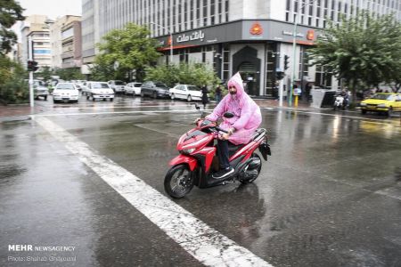 اخبار,عکس خبری,بارش باران در تهران اخبار,عکس خبری,بارش باران در تهران