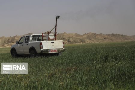 اخبار,عکس خبری,عملیات پایش ملخهای صحرایی در خوزستان اخبار,عکس خبری,عملیات پایش ملخهای صحرایی در خوزستان