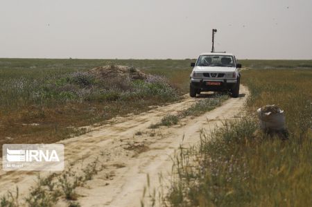 اخبار,عکس خبری,عملیات پایش ملخ‌های صحرایی در خوزستان