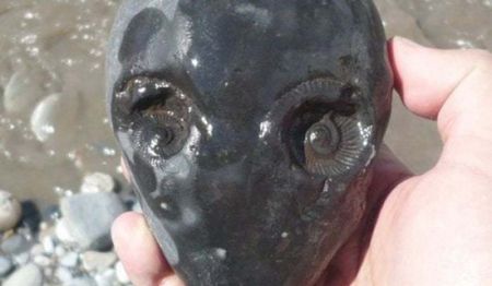 اخبار,اخبار گوناگون اخبار,اخبار گوناگون