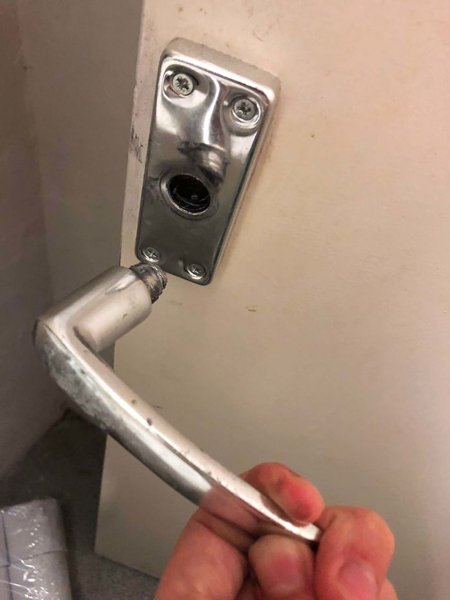 اخبار,اخبار گوناگون اخبار,اخبار گوناگون