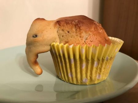 اخبار,اخبار گوناگون اخبار,اخبار گوناگون