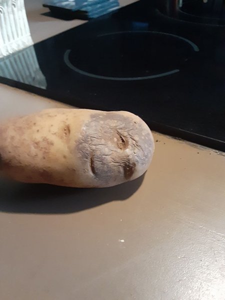 اخبار,اخبار گوناگون اخبار,اخبار گوناگون