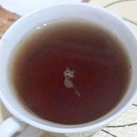 اخبار,اخبار گوناگون اخبار,اخبار گوناگون