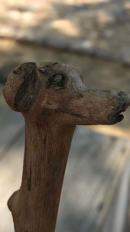 اخبار,اخبار گوناگون اخبار,اخبار گوناگون