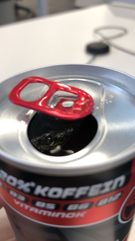 اخبار,اخبار گوناگون اخبار,اخبار گوناگون