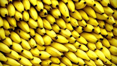 اخبار,اخبار گوناگون اخبار,اخبار گوناگون