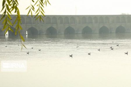 اخبار,اخبار اجتماعی اخبار,اخبار اجتماعی