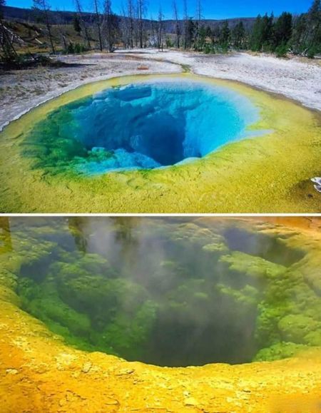 اخبار,اخبار گوناگون,رفتارهای زشت گردشگران در جهان اخبار,اخبار گوناگون,رفتارهای زشت گردشگران در جهان