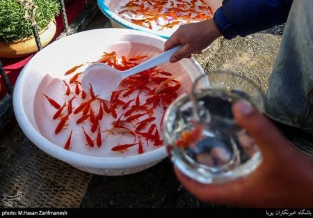 عکس خبری,خرید شب سال نو بدون توجه به شیوع کرونا عکس خبری,خرید شب سال نو بدون توجه به شیوع کرونا