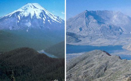 اخبارگوناگون,خبرهای گوناگون ,جالبترین مقایسهها اخبارگوناگون,خبرهای گوناگون ,جالبترین مقایسهها