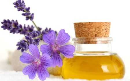 اخبار پزشکی ,خبرهای پزشکی ,روغن بنفشه اخبار پزشکی ,خبرهای پزشکی,روغن بنفشه