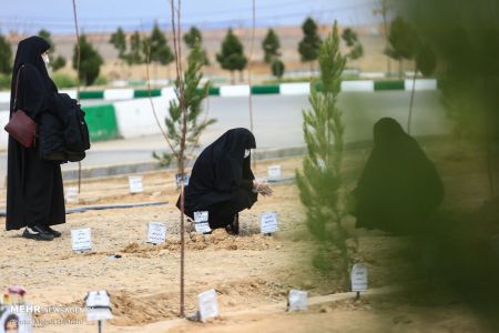 اخباراجتماعی ,خبرهای اجتماعی ,تدفین متوفیان کرونایی اخبار اجتماعی ,خبرهای اجتماعی,تدفین متوفیان کرونایی
