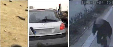 اخبارحوادث,خبرهای حوادث ,حوادث روز اخبار حوادث,خبرهای حوادث ,حوادث روز