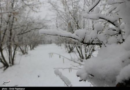 اخباراجتماعی ,خبرهای اجتماعی ,هواشناسی اخبار اجتماعی ,خبرهای اجتماعی,هواشناسی