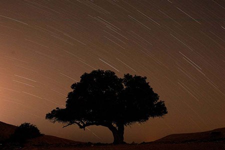 عکسهای جالب,عکسهای جذاب, شهاب سنگ