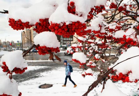 عکسهای جالب,عکسهای جذاب , برف