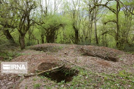 اخبار,انعکاس,جستجوی گنج در جنگلهای هیرکانی اخبار,انعکاس,جستجوی گنج در جنگلهای هیرکانی