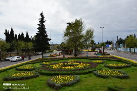 اخبار,انعکاس,آستارا میزبان گل های لاله