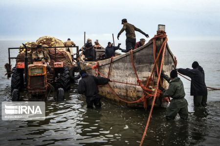 اخبار,عکس خبری,صیدماهی اخبار,عکس خبری,صیدماهی