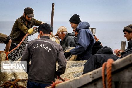 اخبار,عکس خبری,صیدماهی اخبار,عکس خبری,صیدماهی