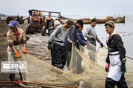 اخبار,عکس خبری,صیدماهی اخبار,عکس خبری,صیدماهی