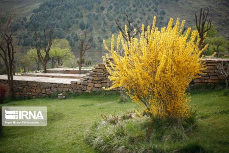 اخبار,انعکاس,بوستان جنگلی آبیدر اخبار,انعکاس,بوستان جنگلی آبیدر