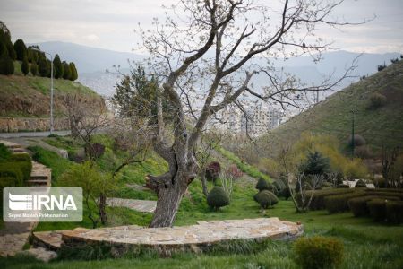 اخبار,انعکاس,بوستان جنگلی آبیدر اخبار,انعکاس,بوستان جنگلی آبیدر