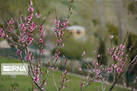 اخبار,انعکاس,بوستان جنگلی آبیدر اخبار,انعکاس,بوستان جنگلی آبیدر