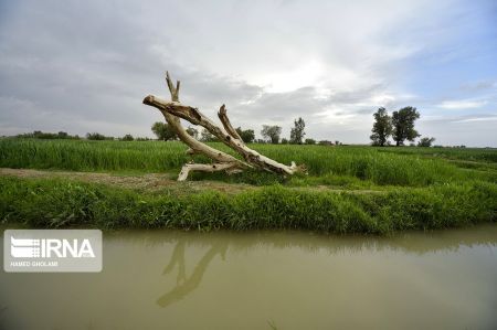 اخبار,انعکاس,بهاردرسیستان