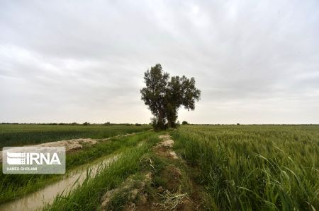 اخبار,انعکاس,بهاردرسیستان