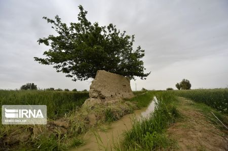 اخبار,انعکاس,بهاردرسیستان