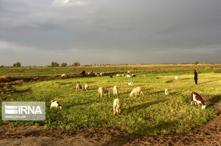 اخبار,انعکاس,بهاردرسیستان