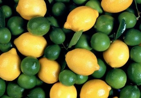 اخبار,اخبار اقتصادی,صادرات لیموترش و لیموشیرین اخبار,اخبار اقتصادی,صادرات لیموترش و لیموشیرین