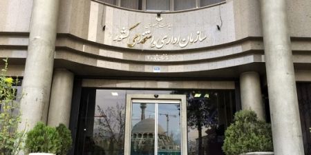 اخبار,اخبار اجتماعی اخبار,اخبار اجتماعی
