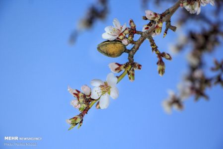 انعکاس,رد پای بهار در چهارمحال و بختیاری