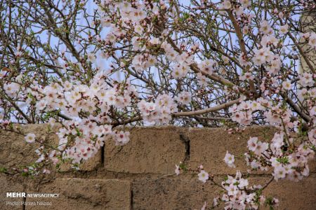 انعکاس,رد پای بهار در چهارمحال و بختیاری