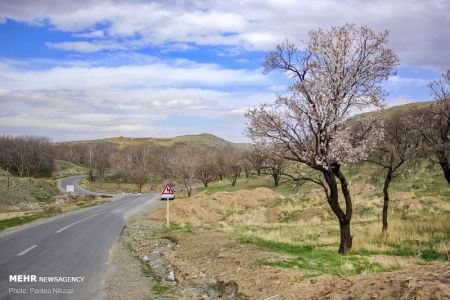 انعکاس,رد پای بهار در چهارمحال و بختیاری