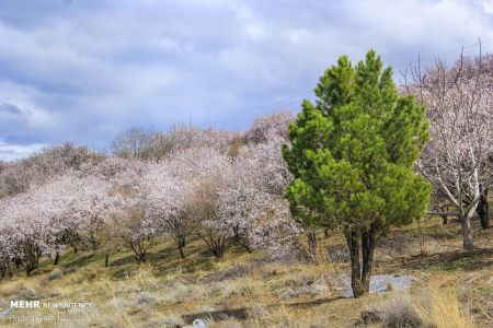 انعکاس,رد پای بهار در چهارمحال و بختیاری