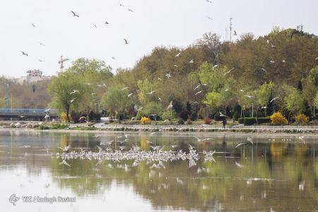 عکس خبری,بهار ۹۹ در اصفهان اخبار,اخبار جدید,اخبار