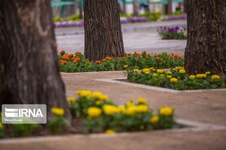 عکس خبری,چهارباغ اصفهان زیر سایه کرونا عکس خبری,چهارباغ اصفهان زیر سایه کرونا