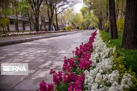عکس خبری,چهارباغ اصفهان زیر سایه کرونا عکس خبری,چهارباغ اصفهان زیر سایه کرونا