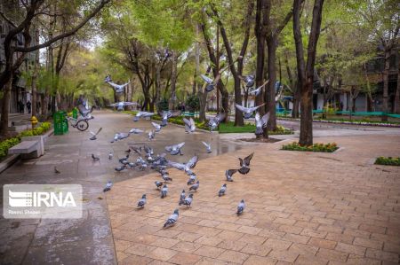 عکس خبری,چهارباغ اصفهان زیر سایه کرونا عکس خبری,چهارباغ اصفهان زیر سایه کرونا