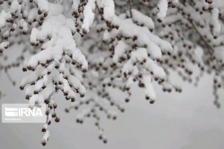 انعکاس,بارش برف بهاری در همدان و مازندران انعکاس,بارش برف بهاری در همدان و مازندران