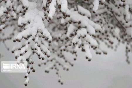 انعکاس,بارش برف بهاری در همدان و مازندران