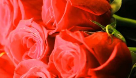  اخبارگوناگون,خبرهای گوناگون , دانستنی‌های جالب